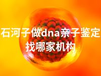 石河子做dna亲子鉴定找哪家机构