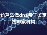 葫芦岛做dna亲子鉴定找哪家机构