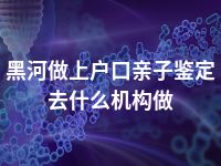 黑河做上户口亲子鉴定去什么机构做