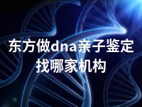 东方做dna亲子鉴定找哪家机构