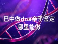 巴中做dna亲子鉴定哪里能做