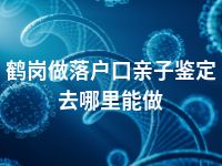 鹤岗做落户口亲子鉴定去哪里能做