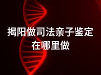 揭阳做司法亲子鉴定在哪里做