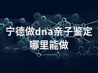 宁德做dna亲子鉴定哪里能做