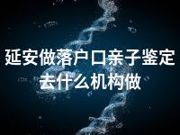 延安做落户口亲子鉴定去什么机构做