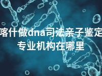 喀什做dna司法亲子鉴定专业机构在哪里