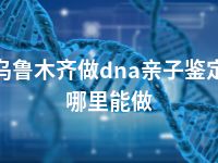 乌鲁木齐做dna亲子鉴定哪里能做