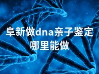 阜新做dna亲子鉴定哪里能做