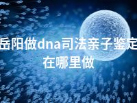 岳阳做dna司法亲子鉴定在哪里做