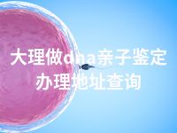 大理做dna亲子鉴定办理地址查询