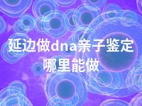 延边做dna亲子鉴定哪里能做