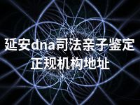 延安dna司法亲子鉴定正规机构地址