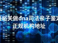 嘉峪关做dna司法亲子鉴定正规机构地址