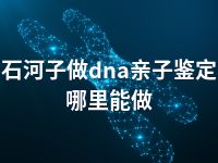 石河子做dna亲子鉴定哪里能做