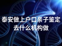 泰安做上户口亲子鉴定去什么机构做