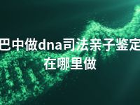 巴中做dna司法亲子鉴定在哪里做