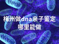 梅州做dna亲子鉴定哪里能做