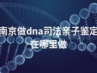 南京做dna司法亲子鉴定在哪里做