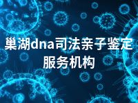 巢湖dna司法亲子鉴定服务机构