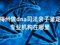 梅州做dna司法亲子鉴定专业机构在哪里