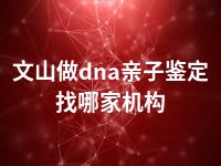 文山做dna亲子鉴定找哪家机构