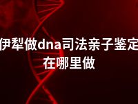 伊犁做dna司法亲子鉴定在哪里做