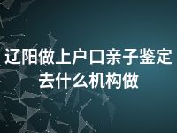 辽阳做上户口亲子鉴定去什么机构做