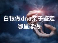 白银做dna亲子鉴定哪里能做