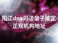 阳江dna司法亲子鉴定正规机构地址