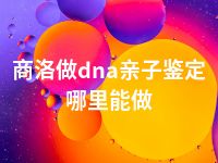 商洛做dna亲子鉴定哪里能做