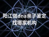 阳江做dna亲子鉴定找哪家机构