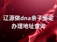 辽源做dna亲子鉴定办理地址查询