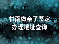 甘南做亲子鉴定办理地址查询