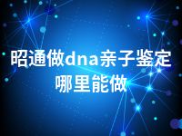 昭通做dna亲子鉴定哪里能做