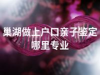 巢湖做上户口亲子鉴定哪里专业