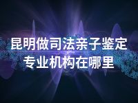 昆明做司法亲子鉴定专业机构在哪里