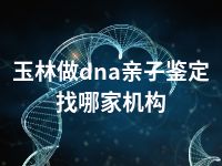 玉林做dna亲子鉴定找哪家机构