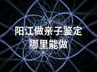 阳江做亲子鉴定哪里能做