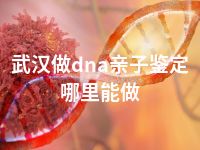 武汉做dna亲子鉴定哪里能做