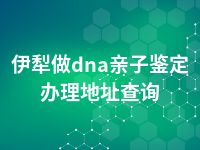 伊犁做dna亲子鉴定办理地址查询