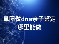 阜阳做dna亲子鉴定哪里能做