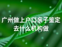 广州做上户口亲子鉴定去什么机构做