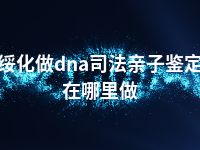 绥化做dna司法亲子鉴定在哪里做