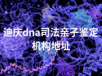 迪庆dna司法亲子鉴定机构地址