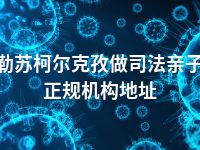 克孜勒苏柯尔克孜做司法亲子鉴定正规机构地址