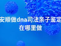 安顺做dna司法亲子鉴定在哪里做