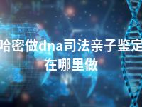 哈密做dna司法亲子鉴定在哪里做