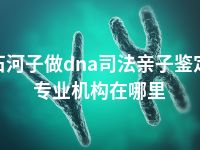 石河子做dna司法亲子鉴定专业机构在哪里