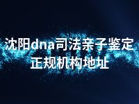 沈阳dna司法亲子鉴定正规机构地址