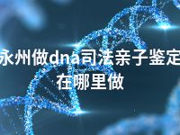 永州做dna司法亲子鉴定在哪里做